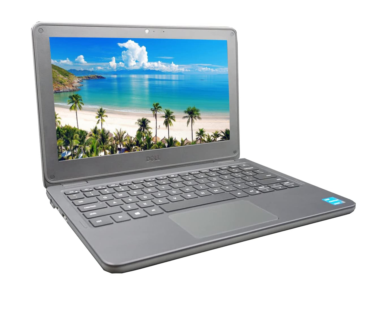 Dell Latitude 3120 11.6" Laptop Intel Quad Core N6000 8GB RAM 256GB SSD Win 11